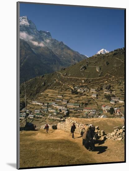 Yak Used for Transporting Goods Leaving the Village of Namche Bazaar in the Khumbu Region, Nepal-Wilson Ken-Mounted Photographic Print