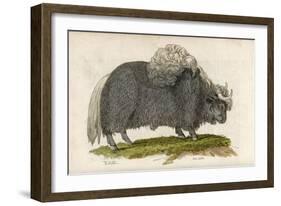 Yak-null-Framed Art Print