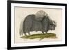 Yak-null-Framed Premium Giclee Print