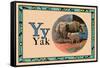 Yak-null-Framed Stretched Canvas