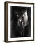 Yakilium-Lynne Davies-Framed Photographic Print