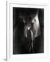 Yakilium-Lynne Davies-Framed Photographic Print