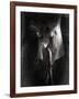 Yakilium-Lynne Davies-Framed Photographic Print