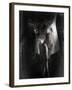 Yakilium-Lynne Davies-Framed Photographic Print