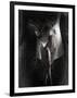 Yakilium-Lynne Davies-Framed Photographic Print