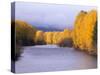 Yakima River and Trees in Autumn, Near Cle Elum, Kittitas County, Washington, USA-Jamie & Judy Wild-Stretched Canvas