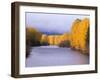 Yakima River and Trees in Autumn, Near Cle Elum, Kittitas County, Washington, USA-Jamie & Judy Wild-Framed Photographic Print