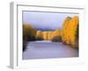 Yakima River and Trees in Autumn, Near Cle Elum, Kittitas County, Washington, USA-Jamie & Judy Wild-Framed Photographic Print