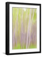 Yakima River Trail II-Kathy Mahan-Framed Photographic Print