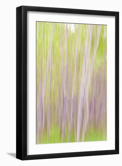 Yakima River Trail II-Kathy Mahan-Framed Photographic Print