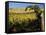 Yakima Valley Vineyards, Washington, USA-Jamie & Judy Wild-Framed Stretched Canvas