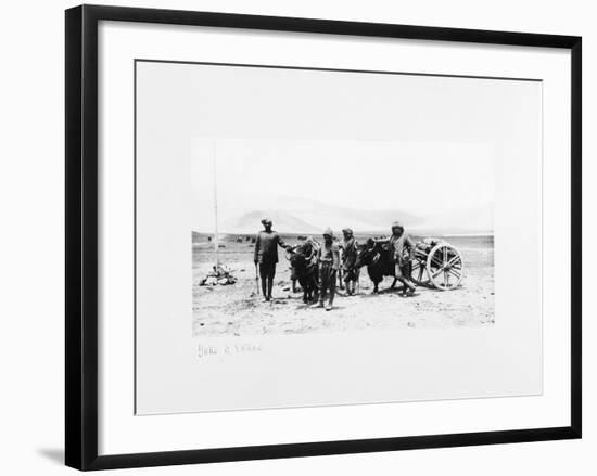 Yaks and Ekkas, 1903-04-John Claude White-Framed Giclee Print