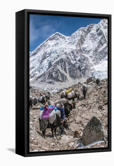 Yaks and herders on a trail to Everest Base Camp.-Lee Klopfer-Framed Stretched Canvas