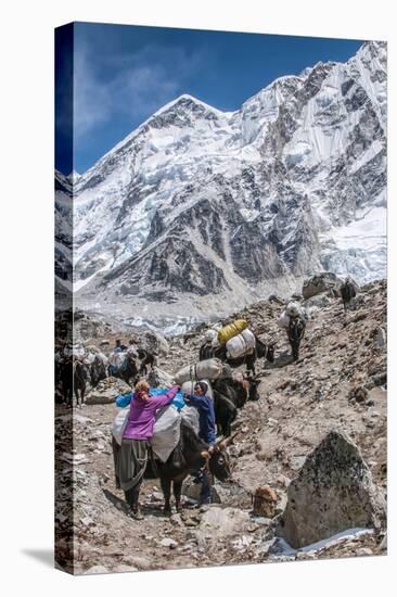 Yaks and herders on a trail to Everest Base Camp.-Lee Klopfer-Stretched Canvas