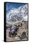 Yaks and herders on a trail to Everest Base Camp.-Lee Klopfer-Framed Stretched Canvas
