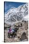 Yaks and herders on a trail to Everest Base Camp.-Lee Klopfer-Stretched Canvas