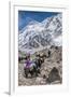 Yaks and herders on a trail to Everest Base Camp.-Lee Klopfer-Framed Premium Photographic Print