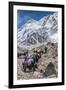 Yaks and herders on a trail to Everest Base Camp.-Lee Klopfer-Framed Premium Photographic Print