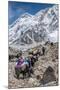 Yaks and herders on a trail to Everest Base Camp.-Lee Klopfer-Mounted Premium Photographic Print