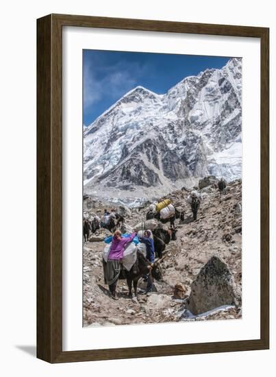 Yaks and herders on a trail to Everest Base Camp.-Lee Klopfer-Framed Photographic Print