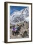 Yaks and herders on a trail to Everest Base Camp.-Lee Klopfer-Framed Photographic Print