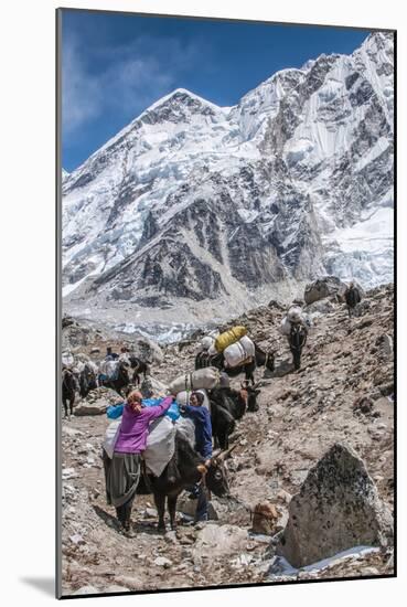 Yaks and herders on a trail to Everest Base Camp.-Lee Klopfer-Mounted Photographic Print