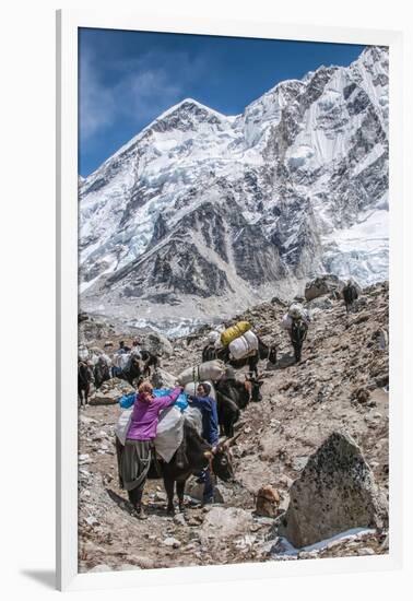 Yaks and herders on a trail to Everest Base Camp.-Lee Klopfer-Framed Photographic Print