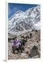 Yaks and herders on a trail to Everest Base Camp.-Lee Klopfer-Framed Photographic Print