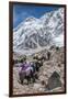 Yaks and herders on a trail to Everest Base Camp.-Lee Klopfer-Framed Photographic Print