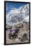 Yaks and herders on a trail to Everest Base Camp.-Lee Klopfer-Framed Photographic Print