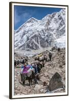 Yaks and herders on a trail to Everest Base Camp.-Lee Klopfer-Framed Premium Photographic Print