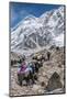 Yaks and herders on a trail to Everest Base Camp.-Lee Klopfer-Mounted Photographic Print