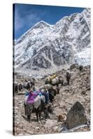 Yaks and herders on a trail to Everest Base Camp.-Lee Klopfer-Stretched Canvas