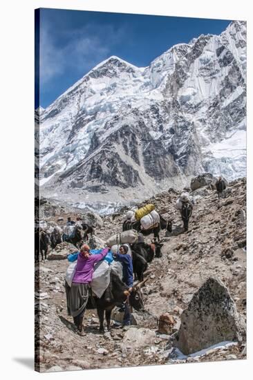 Yaks and herders on a trail to Everest Base Camp.-Lee Klopfer-Stretched Canvas