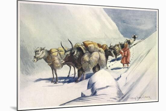 Yaks and Ponies Carrying Wool from Tibet into India-Henry Savage Landor-Mounted Art Print