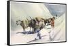 Yaks and Ponies Carrying Wool from Tibet into India-Henry Savage Landor-Framed Stretched Canvas