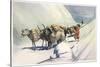 Yaks and Ponies Carrying Wool from Tibet into India-Henry Savage Landor-Stretched Canvas