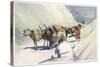 Yaks and Ponies Carrying Wool from Tibet into India-Henry Savage Landor-Stretched Canvas