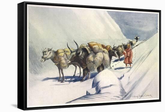 Yaks and Ponies Carrying Wool from Tibet into India-Henry Savage Landor-Framed Stretched Canvas