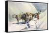 Yaks and Ponies Carrying Wool from Tibet into India-Henry Savage Landor-Framed Stretched Canvas