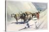 Yaks and Ponies Carrying Wool from Tibet into India-Henry Savage Landor-Stretched Canvas