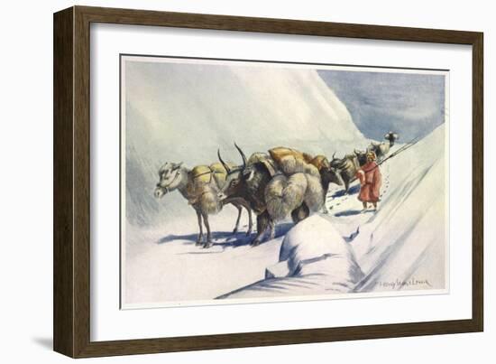 Yaks and Ponies Carrying Wool from Tibet into India-Henry Savage Landor-Framed Art Print