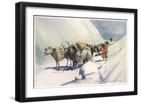 Yaks and Ponies Carrying Wool from Tibet into India-Henry Savage Landor-Framed Art Print