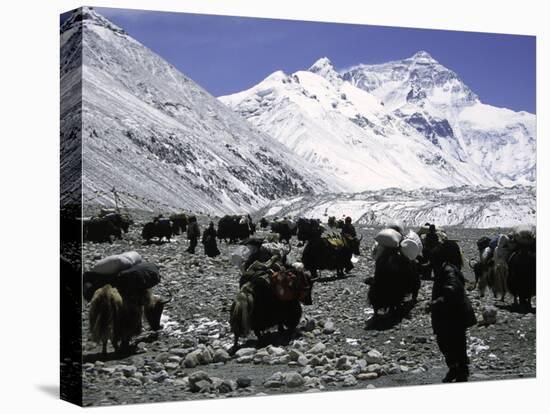 Yaks and Sherpas at the Foot of Himalayan Mountain Range-Michael Brown-Stretched Canvas