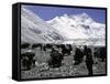 Yaks and Sherpas at the Foot of Himalayan Mountain Range-Michael Brown-Framed Stretched Canvas