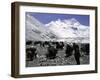 Yaks and Sherpas at the Foot of Himalayan Mountain Range-Michael Brown-Framed Premium Photographic Print