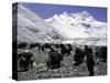 Yaks and Sherpas at the Foot of Himalayan Mountain Range-Michael Brown-Stretched Canvas