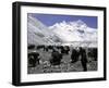 Yaks and Sherpas at the Foot of Himalayan Mountain Range-Michael Brown-Framed Photographic Print