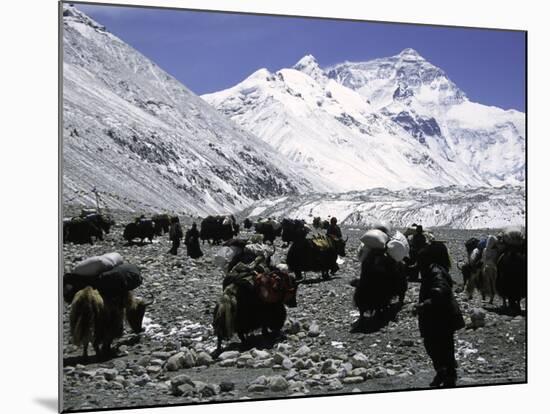 Yaks and Sherpas at the Foot of Himalayan Mountain Range-Michael Brown-Mounted Photographic Print