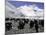 Yaks and Sherpas at the Foot of Himalayan Mountain Range-Michael Brown-Mounted Photographic Print